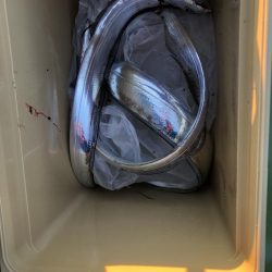 ラッシュタイムに悲劇が