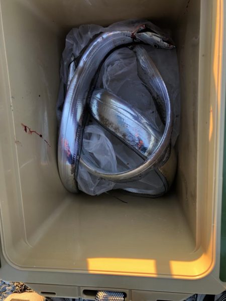 ラッシュタイムに悲劇が