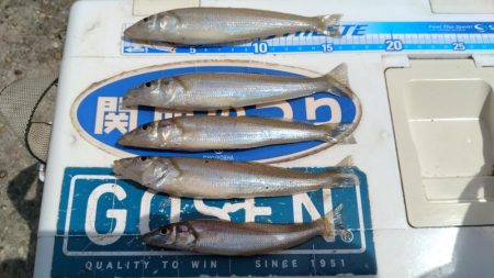 東二見のキス調査