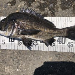 イチノ兄弟、釣果！