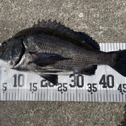 イチノ兄弟、釣果!