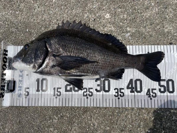 イチノ兄弟、釣果！