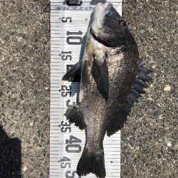 イチノ兄弟、釣果！