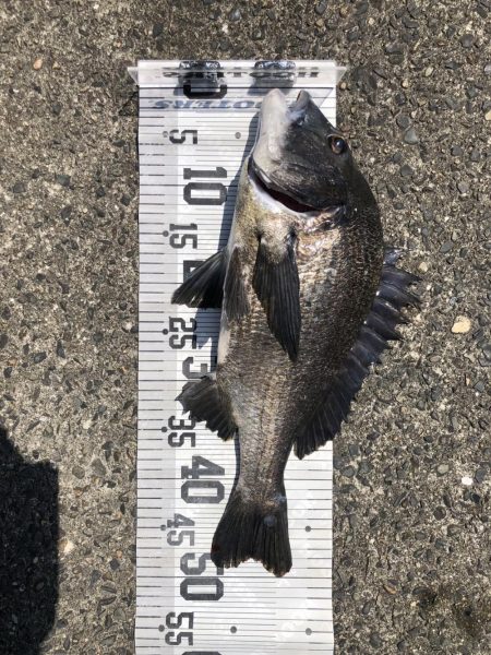 イチノ兄弟、釣果！