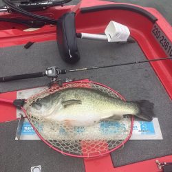 北山田67.5cm 6000g+55cm