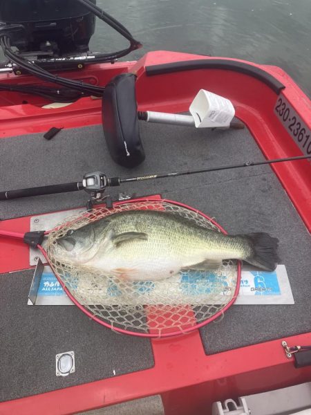 北山田67.5cm 6000g+55cm