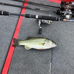 北山田小バスだらけ