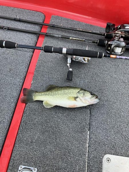 北山田小バスだらけ