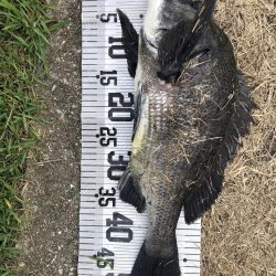 イチノ兄弟、釣果!