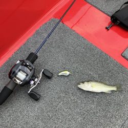 北山田小バス祭り