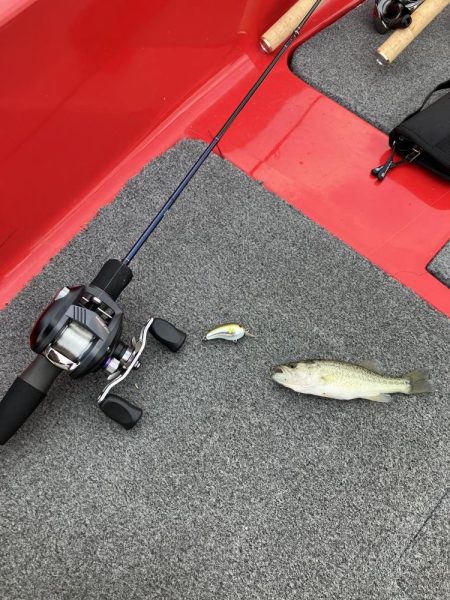 北山田小バス祭り