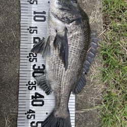 イチノ兄弟、釣果!