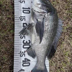 イチノ兄弟、釣果！