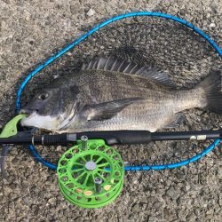 フジツボ•カニで2枚