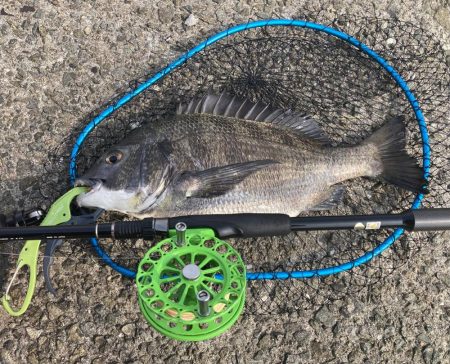 フジツボ•カニで2枚