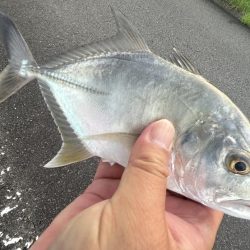 メッキサイズアップ!