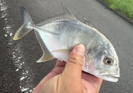 メッキサイズアップ！