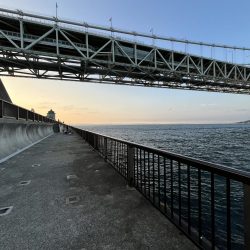 アジしか勝たん