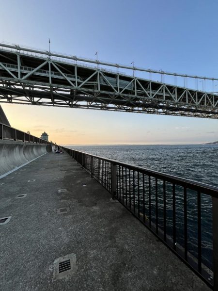 アジしか勝たん