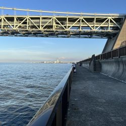 アジしか勝たん②