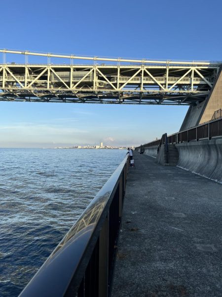 アジしか勝たん②