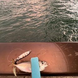 刀狩りしっぱい