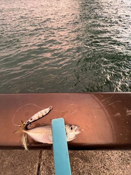 刀狩りしっぱい