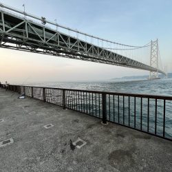 イカ調査成功！？