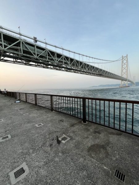 イカ調査成功！？