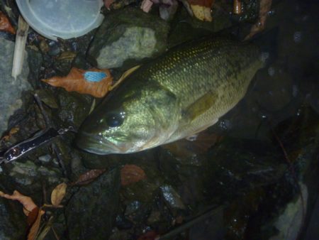 一庫ダム釣行　8月4日