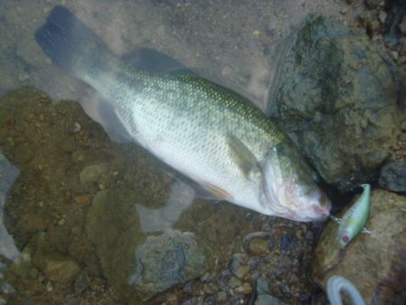 8月5日　一庫ダム釣行