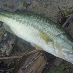 一庫ダム釣行　8月23日