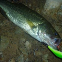 8月27日　一庫ダム釣行