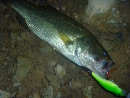 8月27日　一庫ダム釣行