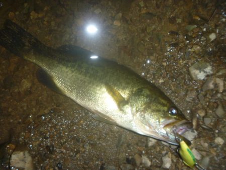 ちょこっとバス釣り