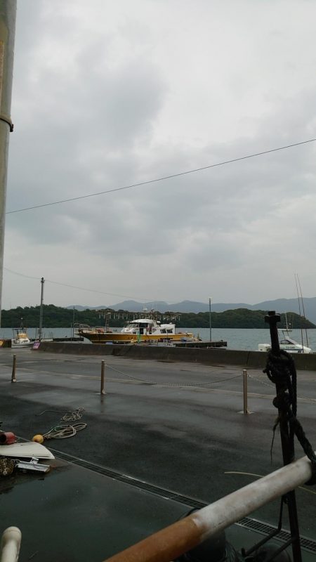 敦賀沖イカメタル