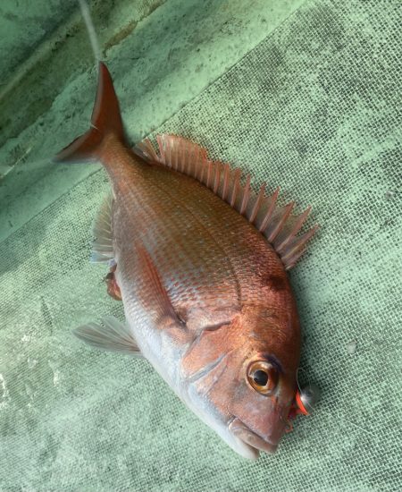 2025.8Mission新潟のつり③