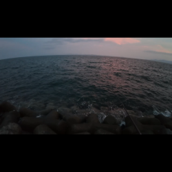 アジング>* ))))><