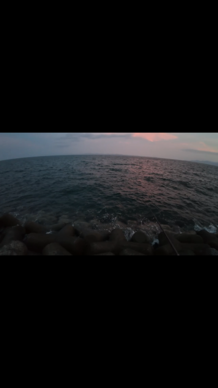 アジング>* ))))><