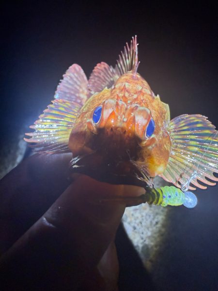 夜な夜なガシリング無双