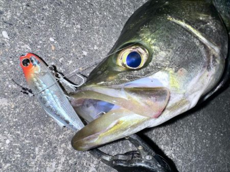 時合い一瞬！デカいと思ったら…まさかのサイ…