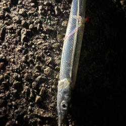 ジグサビキ　27