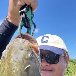 飲まず食わずのチニング