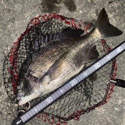 ヘチってきました