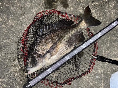 ヘチってきました