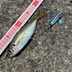 ショアジギング