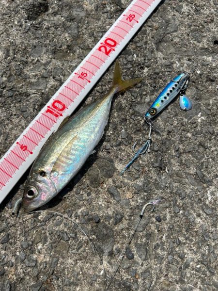 ショアジギング