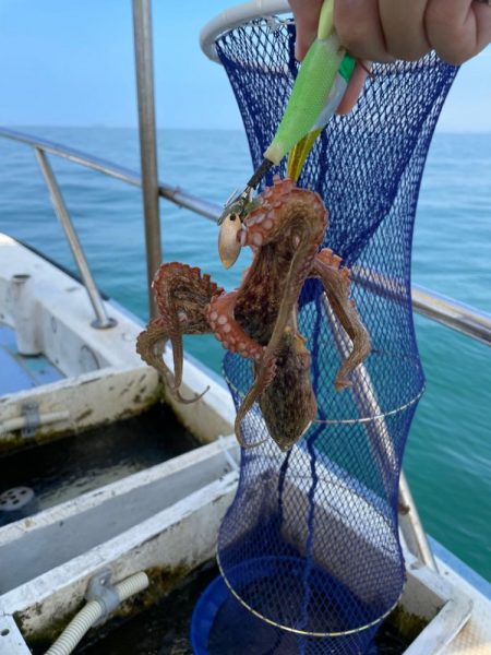 今シーズン最後のマダコ釣り