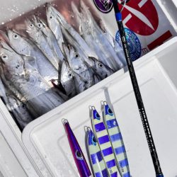 タチウオ/タチウオジギング