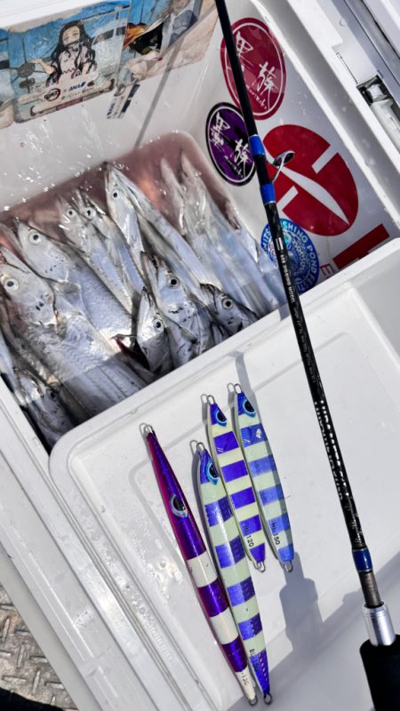 タチウオ/タチウオジギング